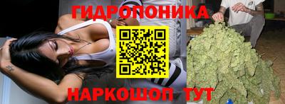 прущие грибы Рыбинск