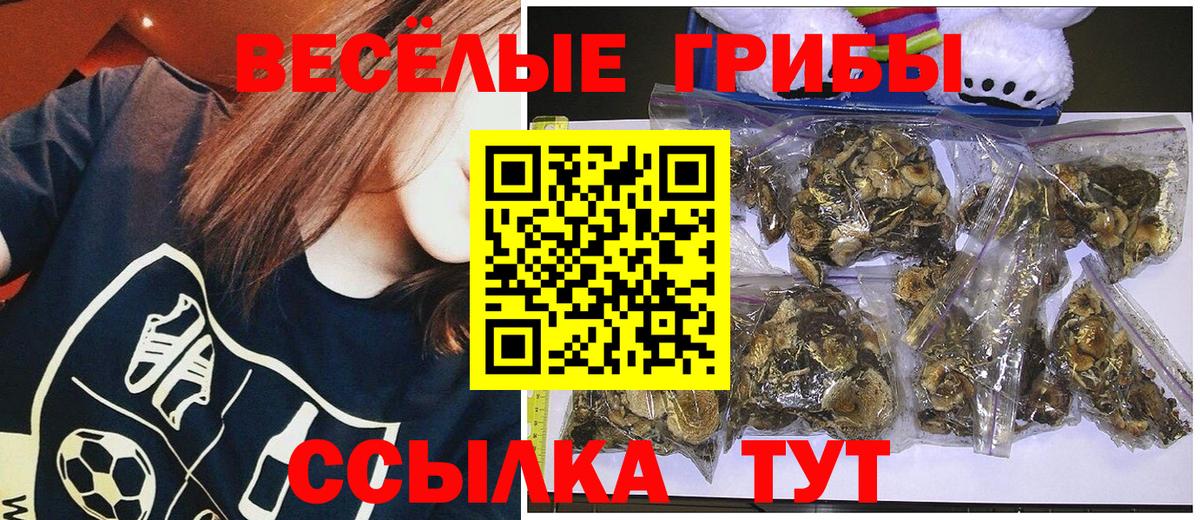 цены   Вход с VPN  Новодвинск  Псилоцибиновые грибы Cubensis 